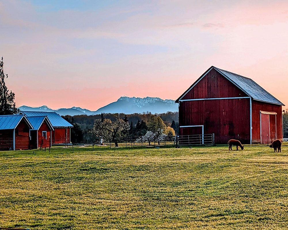 Terry Anderson-Farm