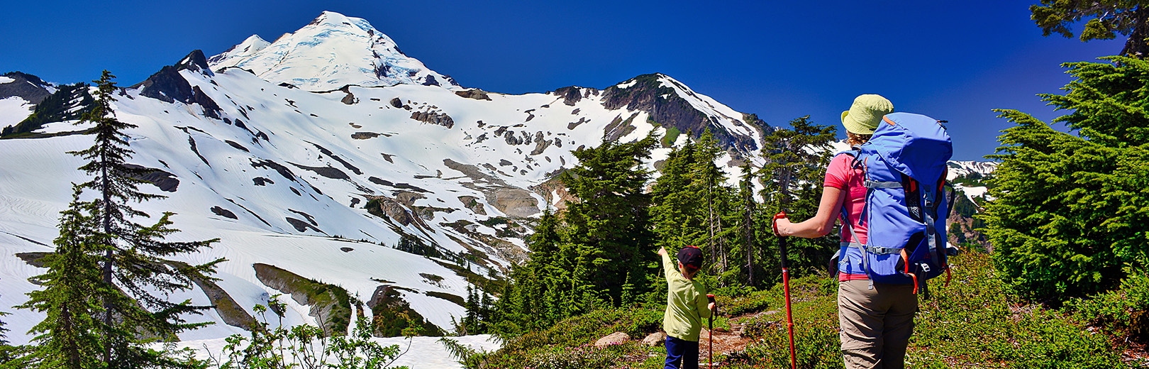 Alpine Savings Banner