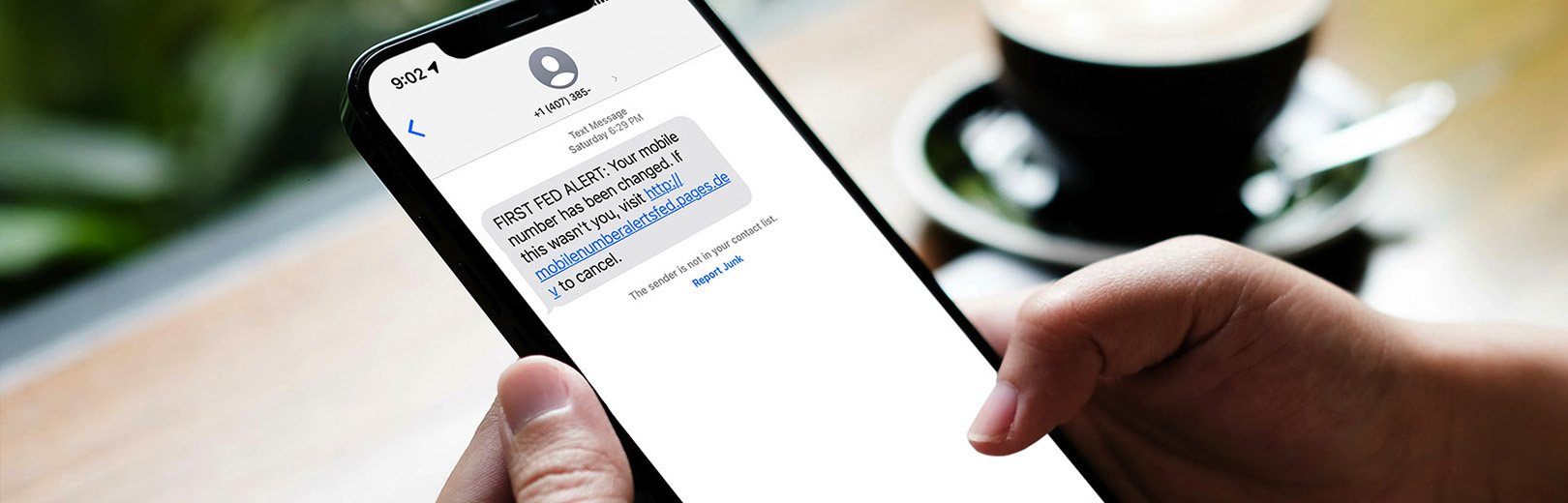 Text Fraud Example