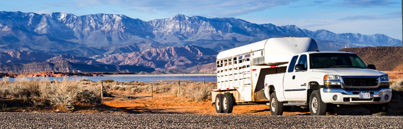 utilitytrailer2