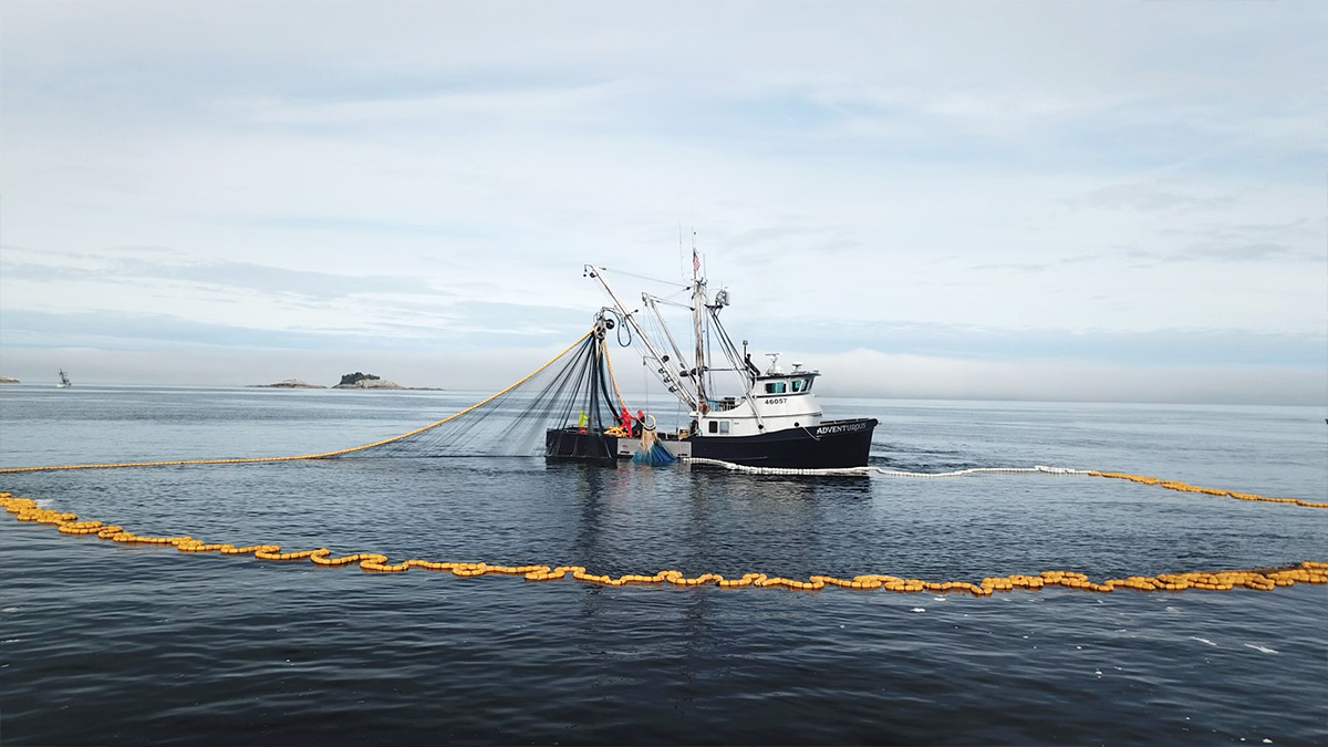Purse Seine Floating Object Record - ppt download