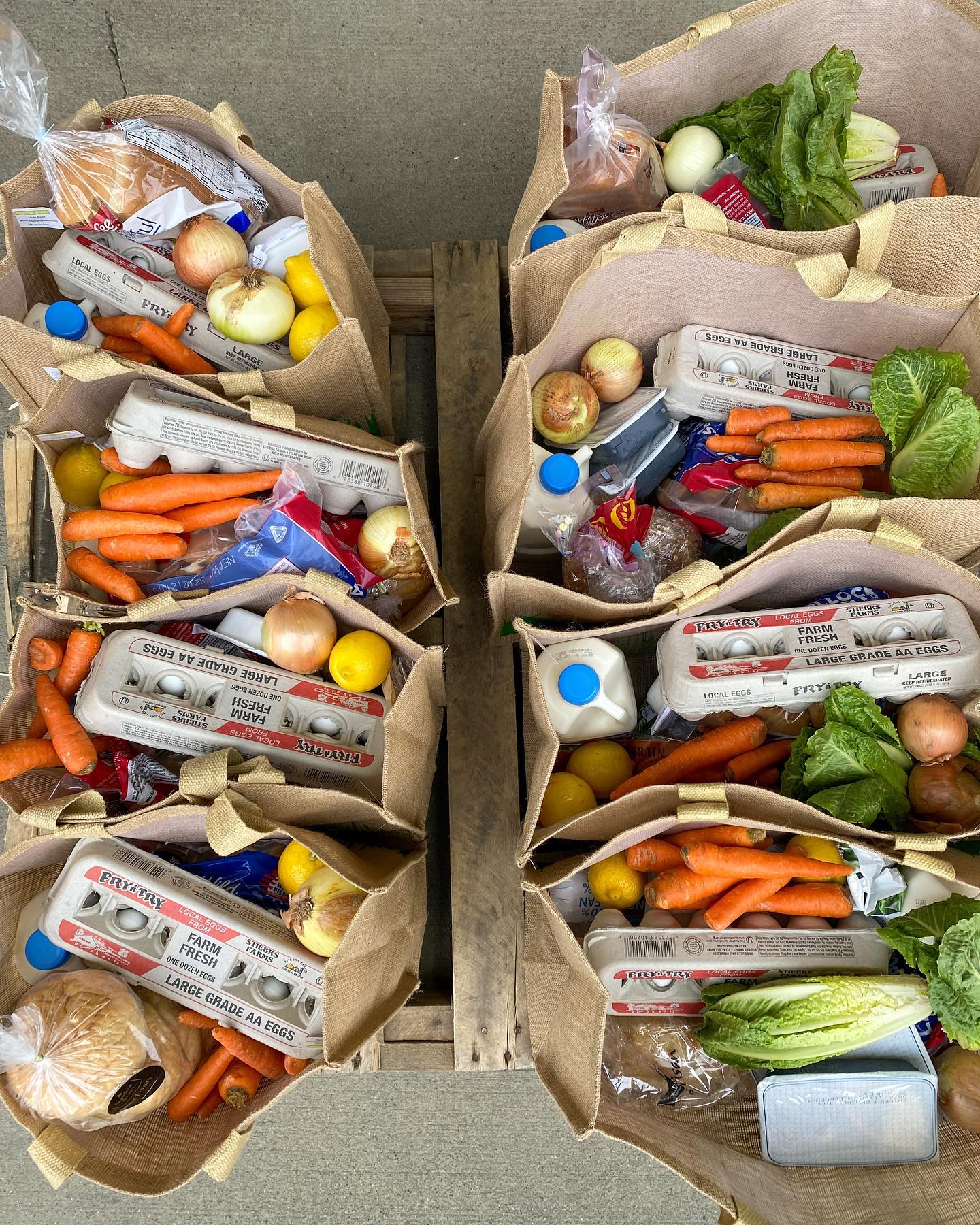 Food Bank Delivery Bags