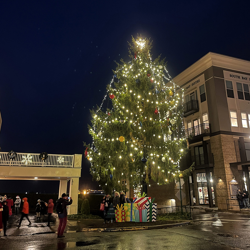 First Fed Fairhaven Tree Lighting