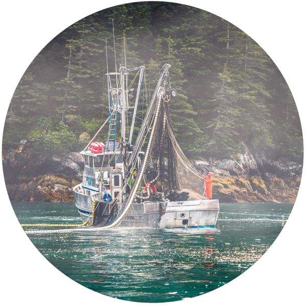 Fishing Boat